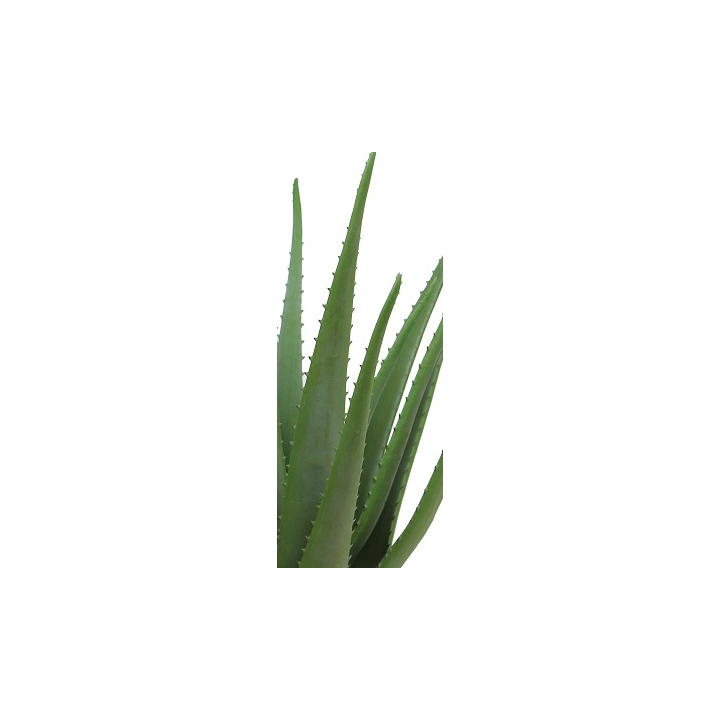 ALOE VERA ARTIFICIEL EN POT, HAUT. 55 CM – PLANTES – Arteverdeco