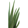 ALOE VERA ARTIFICIEL EN POT, HAUT. 55 CM – PLANTES – Arteverdeco