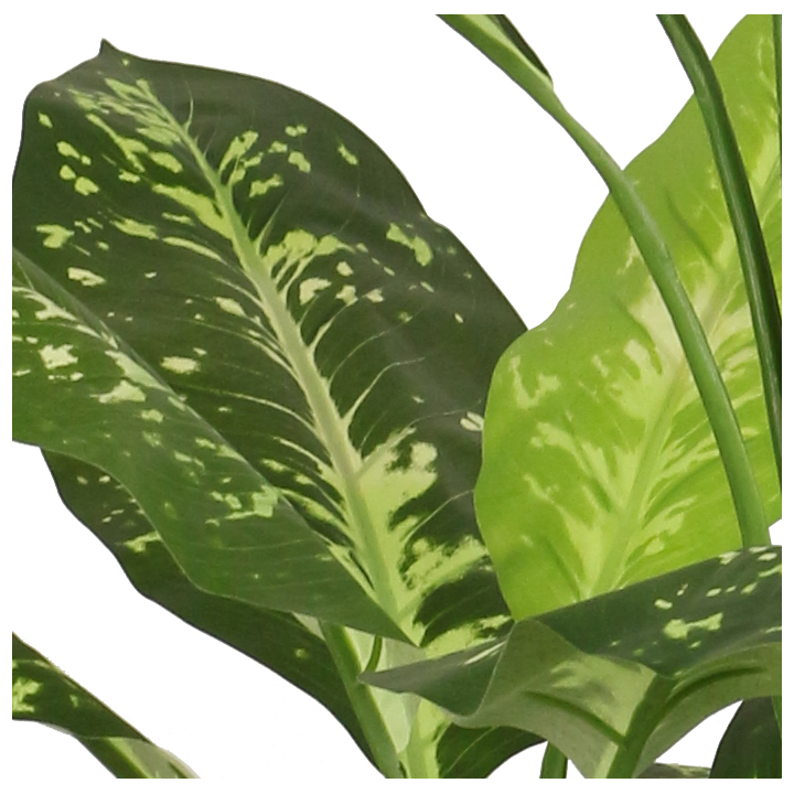 DIEFFENBACHIA ARTIFICIEL EN POT, HAUT. 110 CM – PLANTES – Arteverdeco