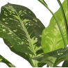 DIEFFENBACHIA ARTIFICIEL EN POT, HAUT. 110 CM – PLANTES – Arteverdeco