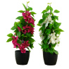 BOUGAINVILLIER ARTIFICIEL EN POT, HAUT. 61 CM – PLANTES – Arteverdeco