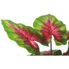 CALADIUM ARTIFICIEL EN POT, HAUT. 45 CM – PLANTES – Arteverdeco