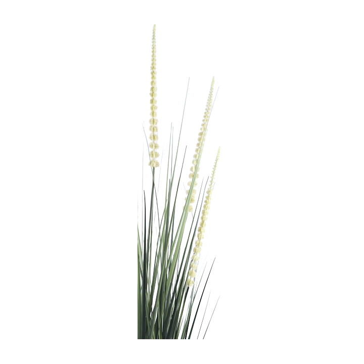 HERBE QUENOUILLE ARTIFICIELLE EN POT, HAUT. 100 cm – PLANTES – Arteverdeco