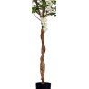 GLYCINE ARTIFICIELLE EN POT, HAUT. 150 CM – ARBRES – Arteverdeco