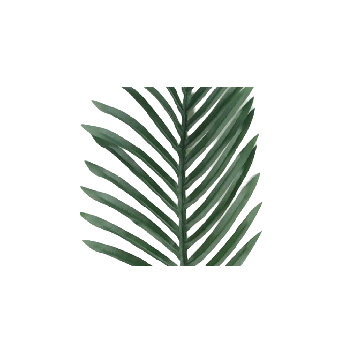 FEUILLE DE PALME ARTIFICIELLE - HAUT. 69 CM – VERDURE – Arteverdeco