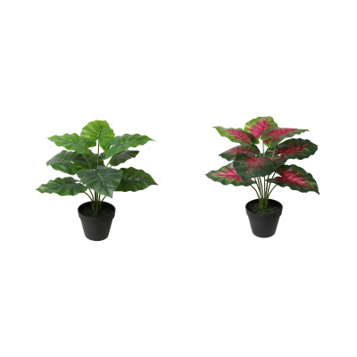 DIEFFENBACHIA ARTIFICIEL EN POT, HAUT. 75 CM – PLANTES – Arteverdeco