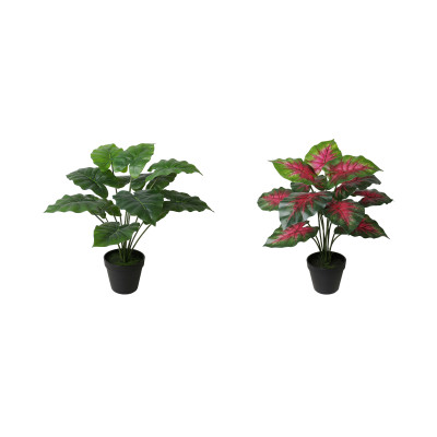 FEUILLES D'ARUM ARTIFICIELLES EN POT, HAUT. 65 CM – PLANTES – Arteverdeco