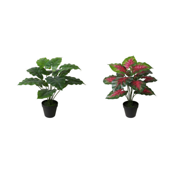 CALADIUM ARTIFICIEL EN POT, HAUT. 40 CM – PLANTES – Arteverdeco