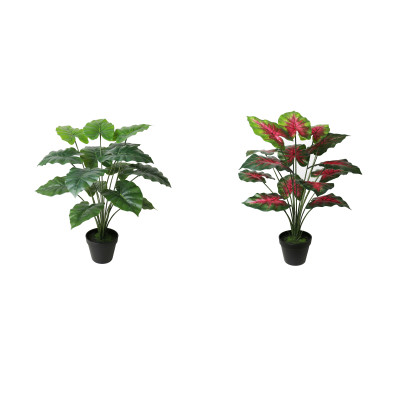 FEUILLES D'ARUM ARTIFICIELLES EN POT, HAUT. 65 CM – PLANTES – Arteverdeco