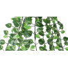 CHUTE POTHOS ARTIFICIELLE, HAUT. 90 CM – VERDURE – Arteverdeco