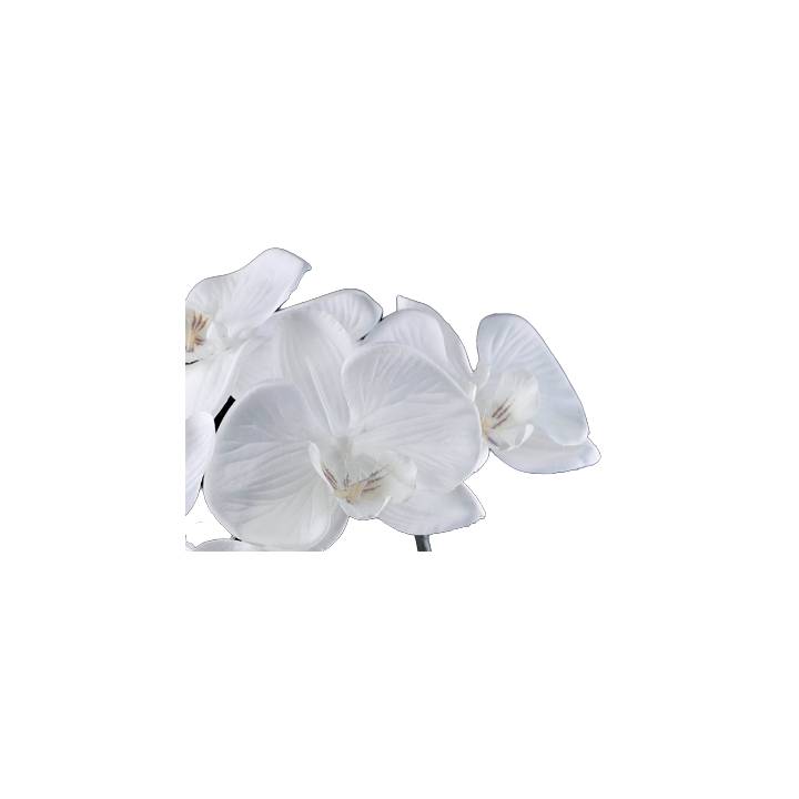 TIGE D'ORCHIDEE, HAUT. 90 CM – FLEURS – Arteverdeco