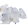 TIGE D'ORCHIDEE, HAUT. 90 CM – FLEURS – Arteverdeco