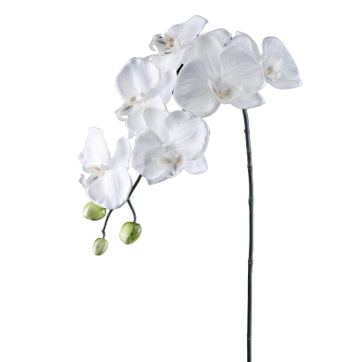 TIGE DE PIVOINE, HAUT. 78 CM – FLEURS – Arteverdeco