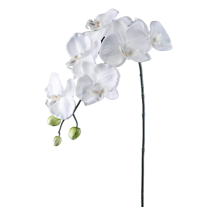 TIGE D'ORCHIDEE, HAUT. 90 CM – FLEURS – Arteverdeco