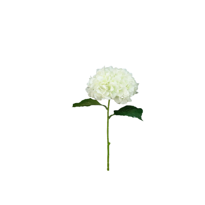 TIGE D'HORTENSIA, HAUT. 68 CM – FLEURS – Arteverdeco