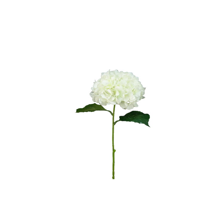 TIGE D'HORTENSIA, HAUT. 78 CM – FLEURS – Arteverdeco