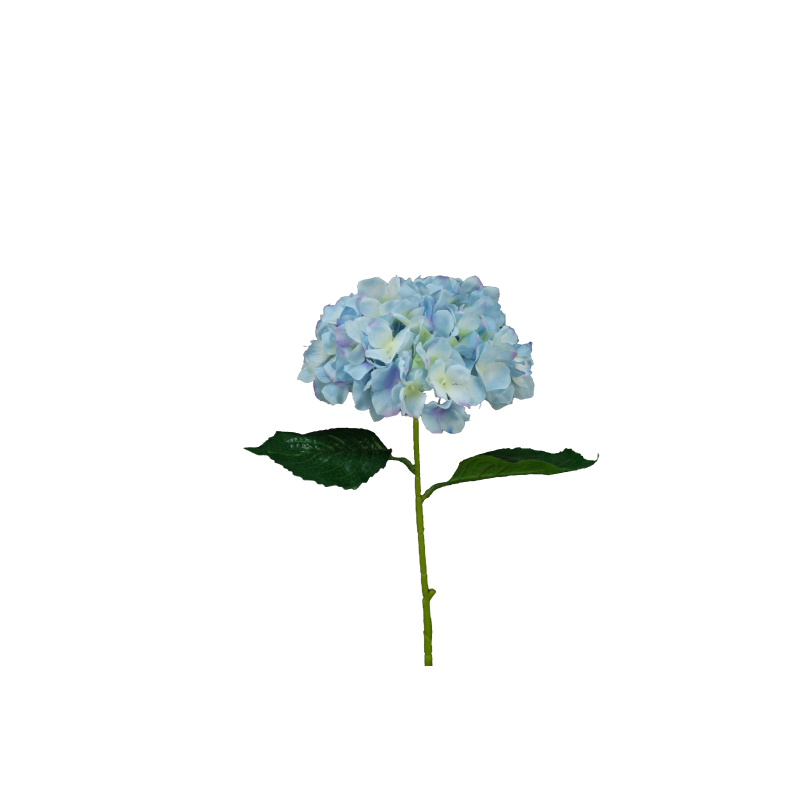 TIGE D'HORTENSIA ARTIFICIELLE, HAUT. 78 CM – FLEURS – Arteverdeco