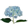 TIGE D'HORTENSIA ARTIFICIELLE, HAUT. 78 CM – FLEURS – Arteverdeco