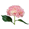 TIGE D'HORTENSIA ARTIFICIELLE, HAUT. 78 CM – FLEURS – Arteverdeco