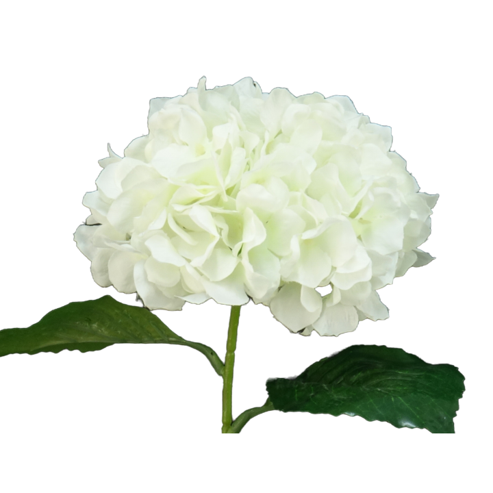 TIGE D'HORTENSIA, HAUT. 78 CM – FLEURS – Arteverdeco