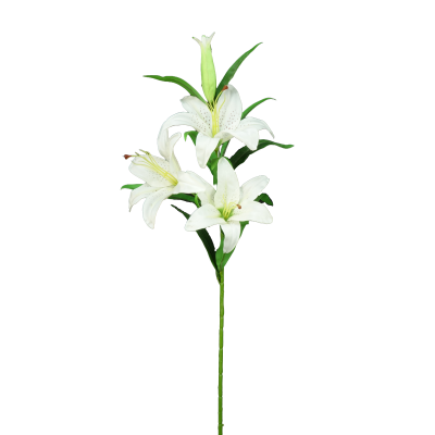 TIGE D'ORCHIDEE CYMBIDIUM, HAUT. 74 CM – FLEURS – Arteverdeco