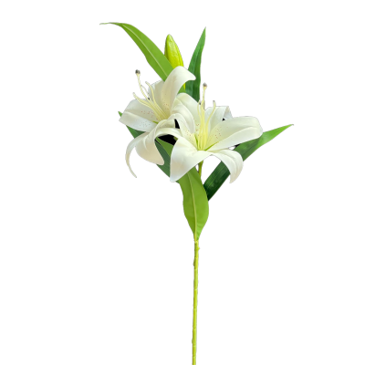 BOUQUET MELANGE DE PENSEE, ORCHIDEE, HERBE, HAUT. 50 CM – FLEURS – Arteverdeco