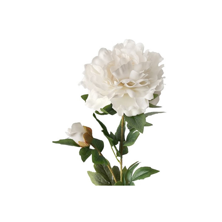 TIGE DE PIVOINE, HAUT. 85 CM – FLEURS – Arteverdeco