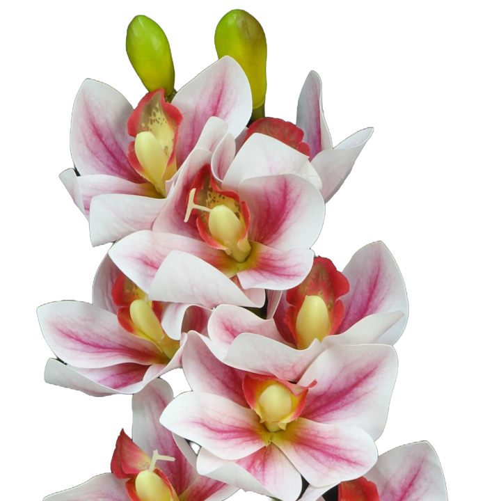 TIGE D'ORCHIDEE CYMBIDIUM ARTIFICIELLE, HAUT. 74 CM – FLEURS – Arteverdeco