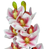 TIGE D'ORCHIDEE CYMBIDIUM ARTIFICIELLE, HAUT. 74 CM – FLEURS – Arteverdeco