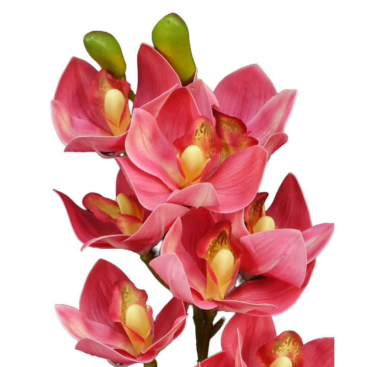 TIGE D'ORCHIDEE CYMBIDIUM ARTIFICIELLE, HAUT. 74 CM – FLEURS – Arteverdeco