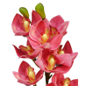 TIGE D'ORCHIDEE CYMBIDIUM ARTIFICIELLE, HAUT. 74 CM – FLEURS – Arteverdeco