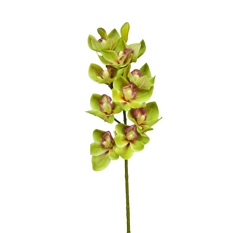 TIGE D'ORCHIDEE CYMBIDIUM ARTIFICIELLE, HAUT. 74 CM – FLEURS – Arteverdeco