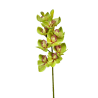 TIGE D'ORCHIDEE CYMBIDIUM ARTIFICIELLE, HAUT. 74 CM – FLEURS – Arteverdeco