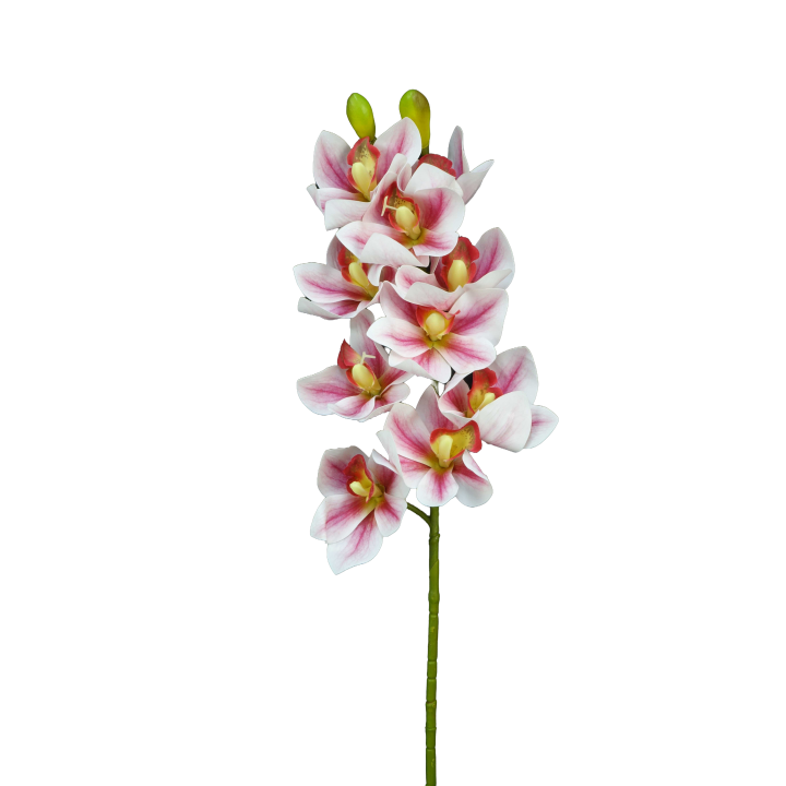 TIGE D'ORCHIDEE CYMBIDIUM ARTIFICIELLE, HAUT. 74 CM – FLEURS – Arteverdeco