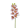 TIGE D'ORCHIDEE CYMBIDIUM ARTIFICIELLE, HAUT. 74 CM – FLEURS – Arteverdeco