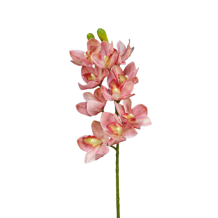 TIGE D'ORCHIDEE CYMBIDIUM ARTIFICIELLE, HAUT. 74 CM – FLEURS – Arteverdeco