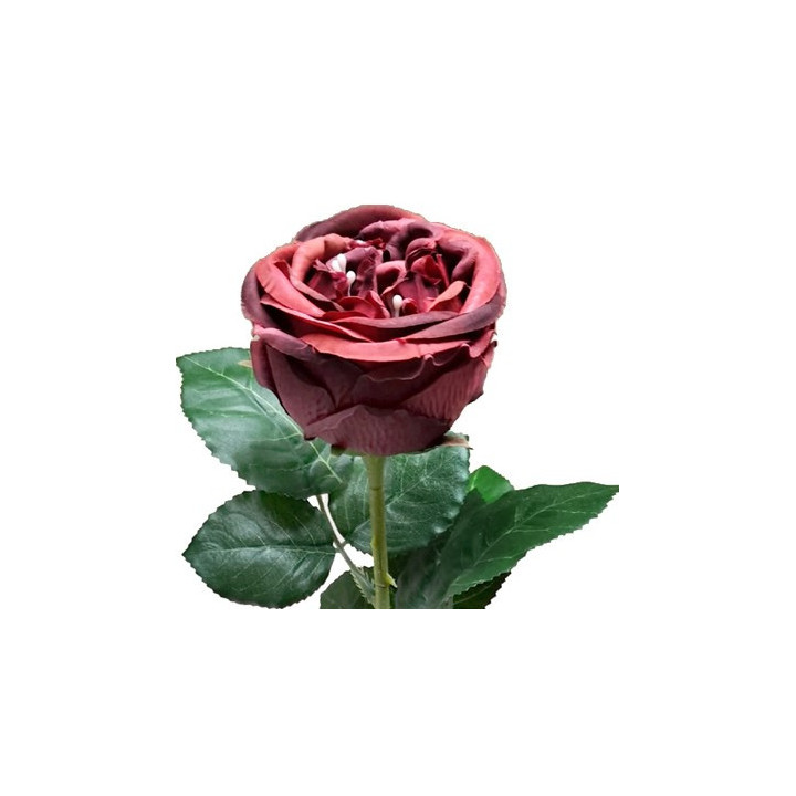 TIGE DE ROSE ANCIENNE ARTIFICIELLE, HAUT. 69 CM – FLEURS – Arteverdeco