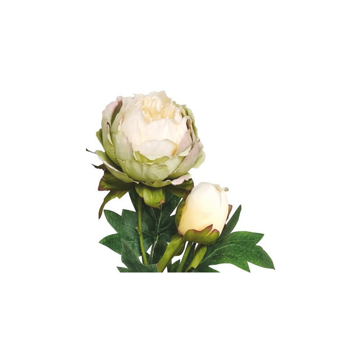 TIGE DE PIVOINE, HAUT. 60 CM – FLEURS – Arteverdeco