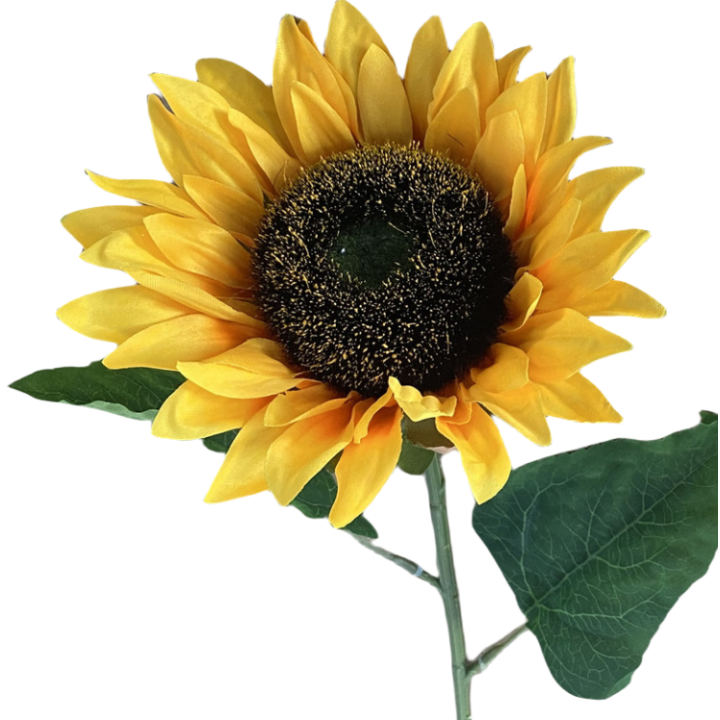 TIGE DE TOURNESOL, HAUT. 68 CM – FLEURS – Arteverdeco