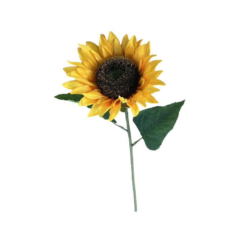 TIGE DE TOURNESOL, HAUT. 68 CM – FLEURS – Arteverdeco