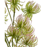 TIGE DE CORDIFOLIUM ARTIFICIELLE, HAUT. 59 CM – FLEURS – Arteverdeco