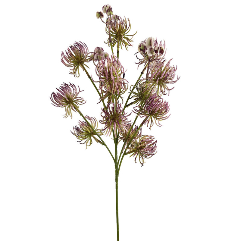 TIGE DE CORDIFOLIUM, HAUT. 59 CM – FLEURS – Arteverdeco