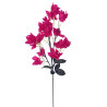 TIGE DE BOUGAINVILLIER, HAUT. 83 CM – FLEURS – Arteverdeco