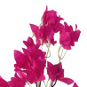 TIGE DE BOUGAINVILLIER, HAUT. 83 CM – FLEURS – Arteverdeco