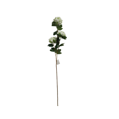 TIGE D HERBE DE PAMPAS - HAUT. 120 CM - (FLEURS : H 30 CM) – FLEURS – Arteverdeco