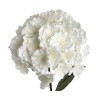 TIGE D'HORTENSIA ARTIFICIELLE, HAUT. 68 CM – FLEURS – Arteverdeco