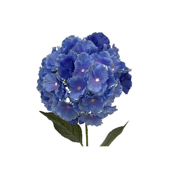 TIGE D'HORTENSIA, HAUT. 68 CM – FLEURS – Arteverdeco