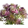 BOUQUET DE FLEURS ASSORTIS, HAUT. 33 CM – FLEURS – Arteverdeco