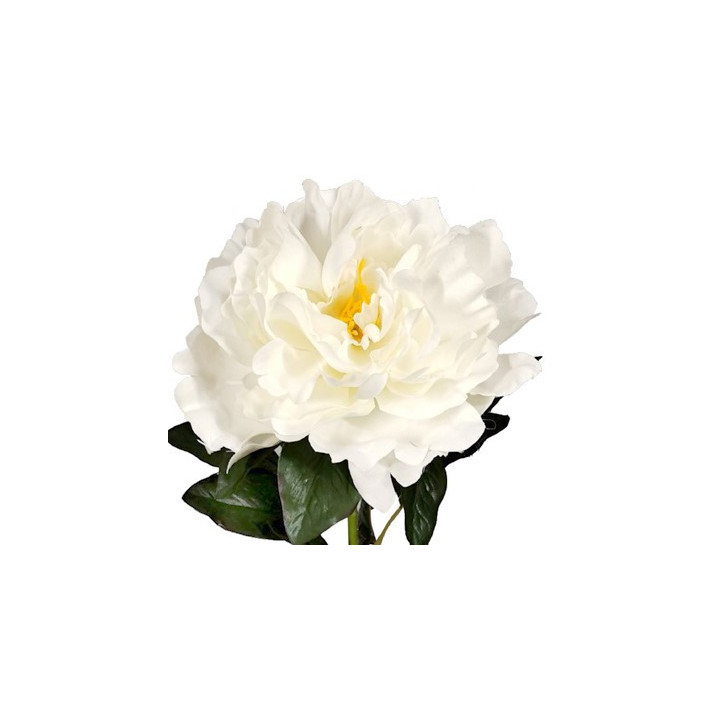 TIGE DE PIVOINE, HAUT. 78 CM – FLEURS – Arteverdeco