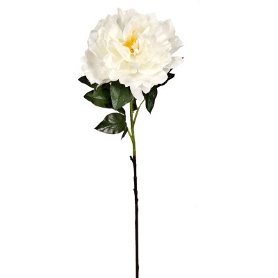 TIGE DE PIVOINE FERMEE - HAUT. 50 CM – FLEURS – Arteverdeco